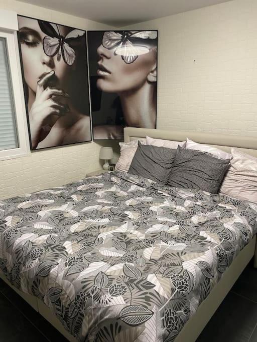 Au Petit Bonheur Imprevu Apartman Douai Kültér fotó